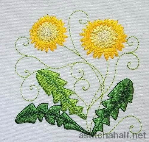 Dandelion in Bloom