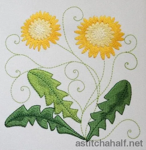 Dandelion in Bloom